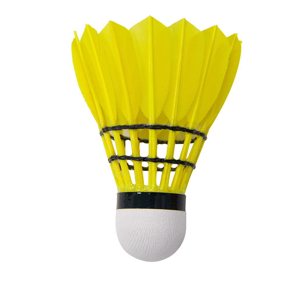 Volants de badminton personnal - Badminton Tournament avis et prix