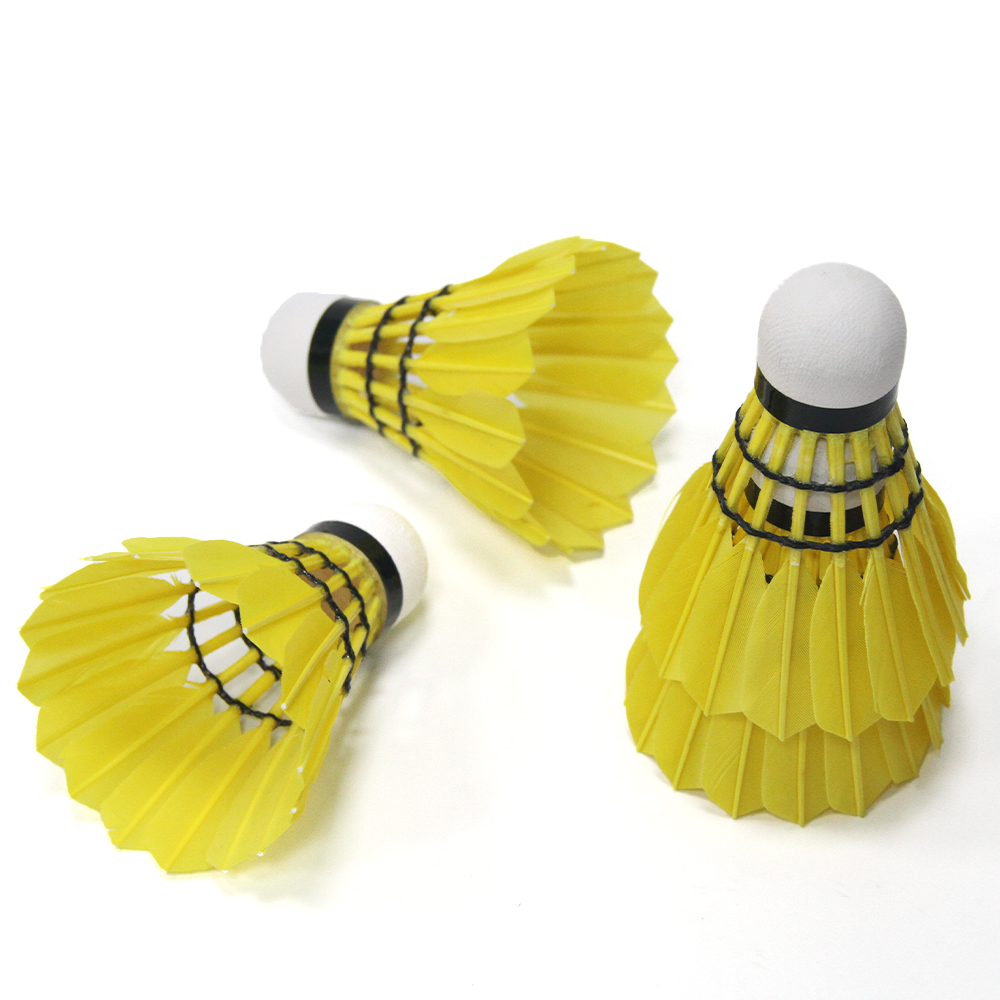 Volants de badminton personnal - Badminton Tournament avis et prix